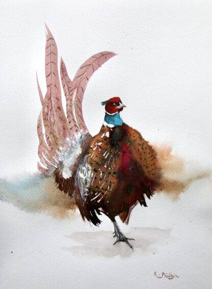 An original painting of a pheasant. Watercolour on archival paper. Check out our large selection of art for sale